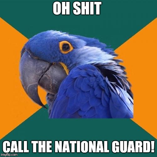 Paranoid Parrot Meme | OH SHIT CALL THE NATIONAL GUARD! | image tagged in memes,paranoid parrot | made w/ Imgflip meme maker