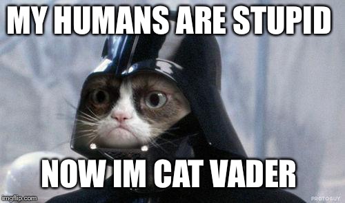 Grumpy Cat Star Wars Meme | MY HUMANS ARE STUPID; NOW IM CAT VADER | image tagged in memes,grumpy cat star wars,grumpy cat | made w/ Imgflip meme maker