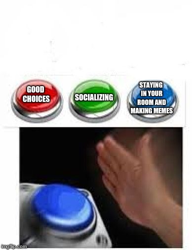 Red Green Blue Buttons | SOCIALIZING; STAYING IN YOUR ROOM AND MAKING MEMES; GOOD CHOICES | image tagged in red green blue buttons | made w/ Imgflip meme maker