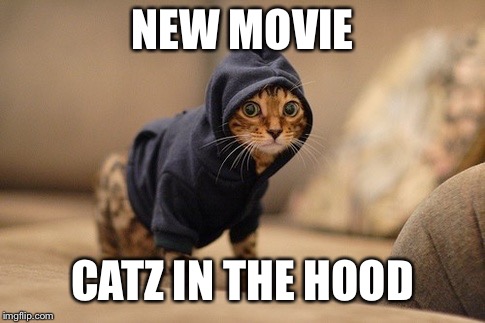 Hoody Cat | NEW MOVIE; CATZ IN THE HOOD | image tagged in memes,hoody cat | made w/ Imgflip meme maker