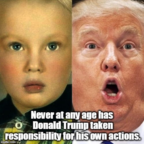 Alibi's"R"Us for 70 years. | Never at any age has Donald Trump taken responsibility for his own actions. | image tagged in trump,responsibility,alibi,excuse | made w/ Imgflip meme maker