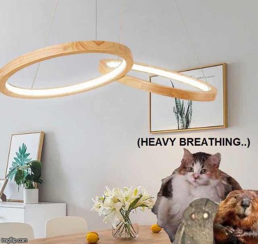 Wooden lamp loops | (HEAVY BREATHING..) | image tagged in brther may i have some loops,moth,beaver,memes,ilikepie314159265358979 | made w/ Imgflip meme maker