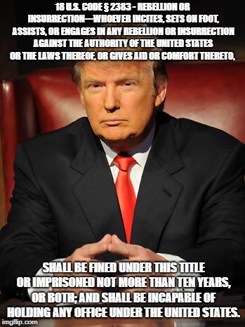 Donald trump | 18 U.S. CODE § 2383 - REBELLION OR INSURRECTION---WHOEVER INCITES, SETS ON FOOT, ASSISTS, OR ENGAGES IN ANY REBELLION OR INSURRECTION AGAINST THE AUTHORITY OF THE UNITED STATES OR THE LAWS THEREOF, OR GIVES AID OR COMFORT THERETO, SHALL BE FINED UNDER THIS TITLE OR IMPRISONED NOT MORE THAN TEN YEARS, OR BOTH; AND SHALL BE INCAPABLE OF HOLDING ANY OFFICE UNDER THE UNITED STATES. | image tagged in donald trump | made w/ Imgflip meme maker