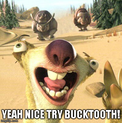 Yeah Nice Try Bucktooth | YEAH NICE TRY BUCKTOOTH! | image tagged in yeah nice try bucktooth | made w/ Imgflip meme maker