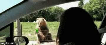image tagged in gifs | made w/ Imgflip video-to-gif maker