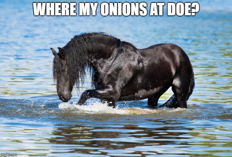 WHERE MY ONIONS AT DOE? | image tagged in octoberact,act,horse,funny | made w/ Imgflip meme maker