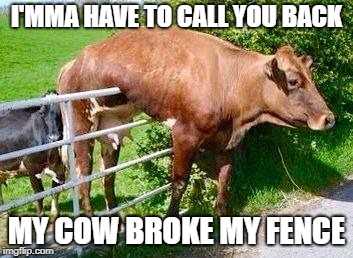 I'MMA HAVE TO CALL YOU BACK; MY COW BROKE MY FENCE | image tagged in octoberact,act,funny,actmemes | made w/ Imgflip meme maker