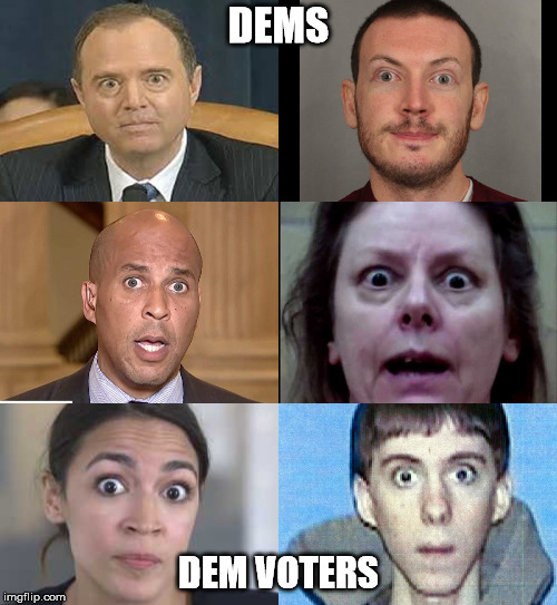 DEMS; DEM VOTERS | image tagged in fun | made w/ Imgflip meme maker