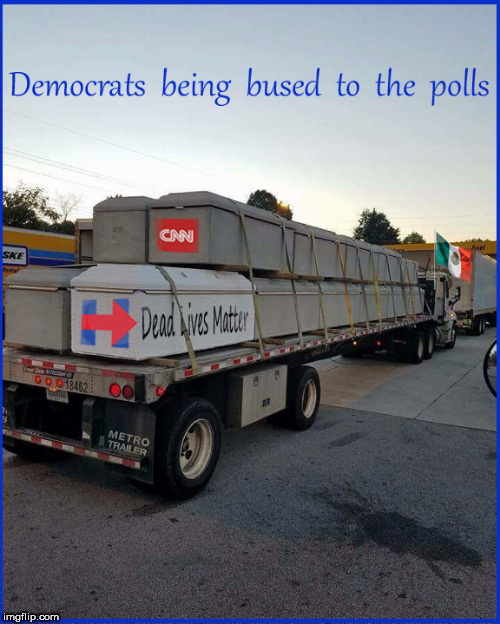 Democrats going to vote | image tagged in democrats,election fraud,politics lol,current events,funny memes,dead vote | made w/ Imgflip meme maker
