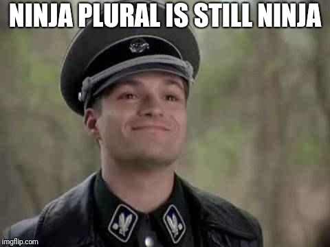 grammar nazi | NINJA PLURAL IS STILL NINJA | image tagged in grammar nazi | made w/ Imgflip meme maker
