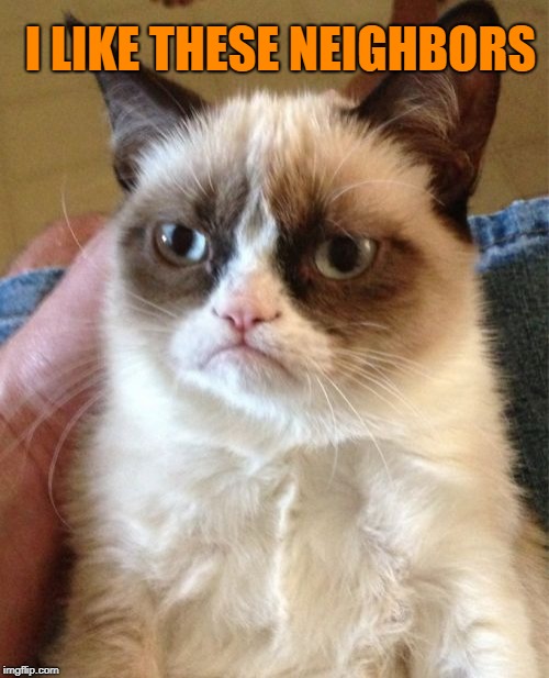 Grumpy Cat Meme | I LIKE THESE NEIGHBORS | image tagged in memes,grumpy cat | made w/ Imgflip meme maker