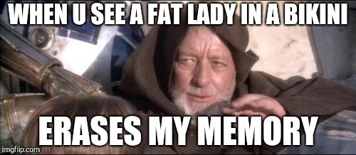 These Aren't The Droids You Were Looking For Meme | WHEN U SEE A FAT LADY IN A BIKINI; ERASES MY MEMORY | image tagged in memes,these arent the droids you were looking for | made w/ Imgflip meme maker