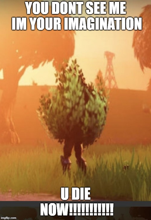 Fortnite bush | YOU DONT SEE ME IM YOUR IMAGINATION; U DIE NOW!!!!!!!!!!! | image tagged in fortnite bush | made w/ Imgflip meme maker