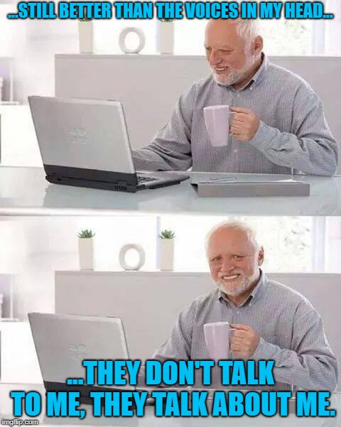 Hide the Pain Harold Meme | ...STILL BETTER THAN THE VOICES IN MY HEAD... ...THEY DON'T TALK TO ME, THEY TALK ABOUT ME. | image tagged in memes,hide the pain harold | made w/ Imgflip meme maker