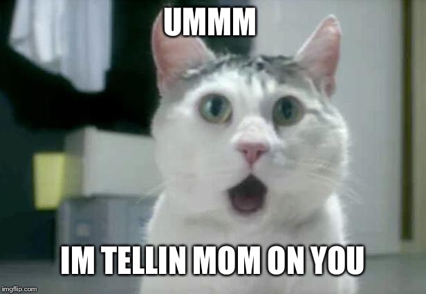 OMG Cat | UMMM; IM TELLIN MOM ON YOU | image tagged in memes,omg cat | made w/ Imgflip meme maker