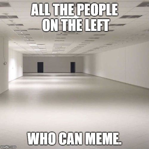 Left Can't Meme. |  ALL THE PEOPLE ON THE LEFT; WHO CAN MEME. | image tagged in empty room left,left can't meme | made w/ Imgflip meme maker