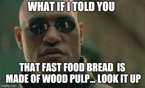 Matrix Morpheus | WHAT IF I TOLD YOU; THAT FAST FOOD BREAD  IS MADE OF WOOD PULP... LOOK IT UP | image tagged in memes,matrix morpheus | made w/ Imgflip meme maker