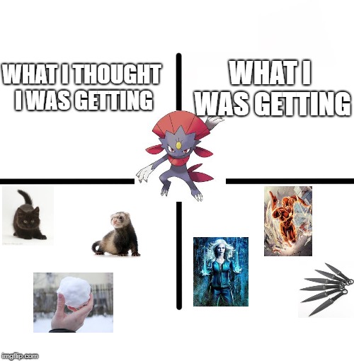 Blank Starter Pack Meme | WHAT I WAS GETTING; WHAT I THOUGHT I WAS GETTING | image tagged in memes,blank starter pack | made w/ Imgflip meme maker