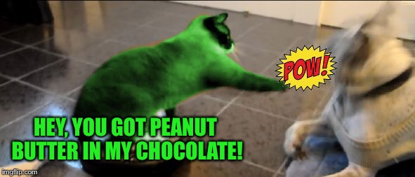 RayCat Roomba | HEY, YOU GOT PEANUT BUTTER IN MY CHOCOLATE! | image tagged in raycat roomba | made w/ Imgflip meme maker