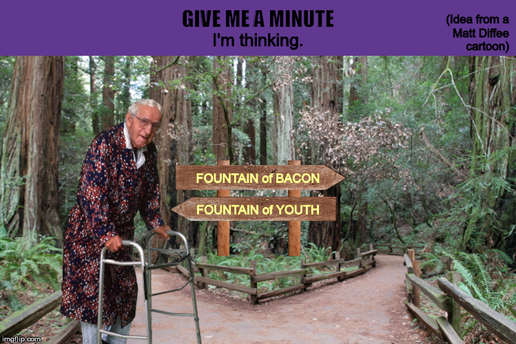 Give Me a Minute - I'm Thinking | image tagged in give me a minute,fountain of bacon,growing old,choices,funny,memes | made w/ Imgflip meme maker