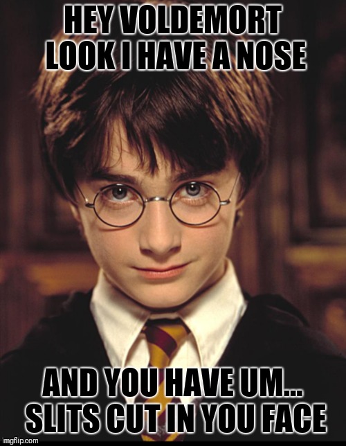HEY VOLDEMORT LOOK I HAVE A NOSE; AND YOU HAVE UM... SLITS CUT IN YOU FACE | made w/ Imgflip meme maker