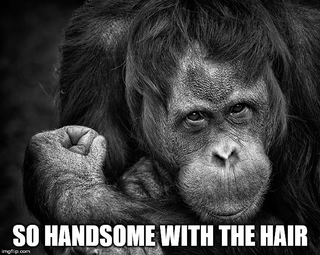 SO HANDSOME WITH THE HAIR | made w/ Imgflip meme maker