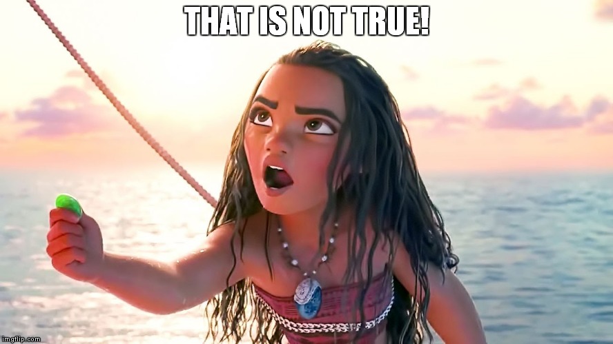 Angry Moana | THAT IS NOT TRUE! | image tagged in angry moana | made w/ Imgflip meme maker