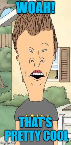 Butthead | WOAH! THAT'S PRETTY COOL | image tagged in butthead | made w/ Imgflip meme maker