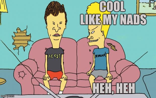 Beavis and Butthead | COOL LIKE MY NADS HEH, HEH | image tagged in beavis and butthead | made w/ Imgflip meme maker