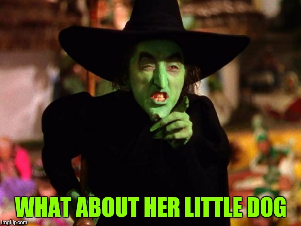 wicked witch  | WHAT ABOUT HER LITTLE DOG | image tagged in wicked witch | made w/ Imgflip meme maker