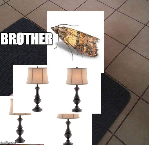 Loops Brother | BRØTHER | image tagged in loops brother | made w/ Imgflip meme maker