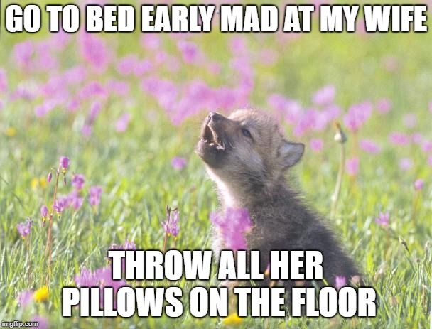 Baby Insanity Wolf Meme | GO TO BED EARLY MAD AT MY WIFE; THROW ALL HER PILLOWS ON THE FLOOR | image tagged in memes,baby insanity wolf,AdviceAnimals | made w/ Imgflip meme maker