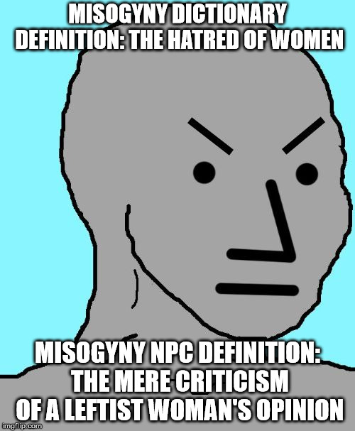 NPC meme angry | MISOGYNY DICTIONARY DEFINITION: THE HATRED OF WOMEN; MISOGYNY NPC DEFINITION: THE MERE CRITICISM OF A LEFTIST WOMAN'S OPINION | image tagged in npc meme angry | made w/ Imgflip meme maker