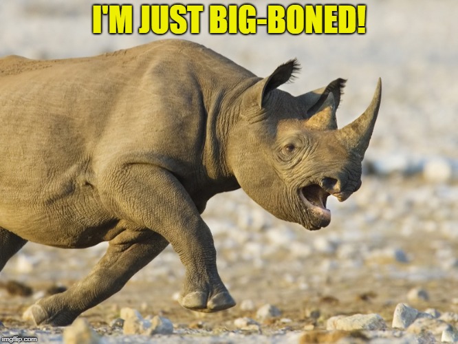 I'M JUST BIG-BONED! | made w/ Imgflip meme maker