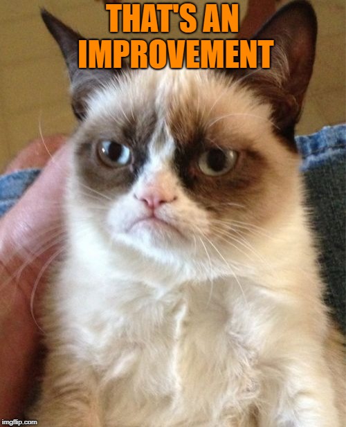 Grumpy Cat Meme | THAT'S AN IMPROVEMENT | image tagged in memes,grumpy cat | made w/ Imgflip meme maker