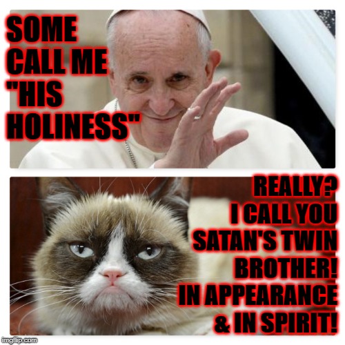 SOME CALL ME "HIS HOLINESS"; REALLY? I CALL YOU SATAN'S TWIN BROTHER! IN APPEARANCE & IN SPIRIT! | image tagged in grumpy vs pope | made w/ Imgflip meme maker