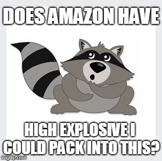 DOES AMAZON HAVE HIGH EXPLOSIVE I COULD PACK INTO THIS? | made w/ Imgflip meme maker
