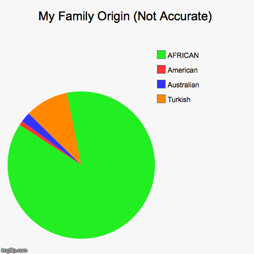 My Family Origin (Not Accurate) | Turkish, Australian, American, AFRICAN | image tagged in funny,pie charts | made w/ Imgflip chart maker