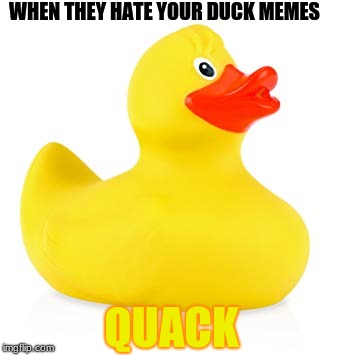 WHEN THEY HATE YOUR DUCK MEMES; QUACK | image tagged in rubber ducks,ducks | made w/ Imgflip meme maker