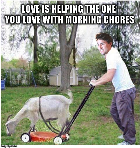 Trudeau mowing the lawn | LOVE IS HELPING THE ONE YOU LOVE WITH MORNING CHORES | image tagged in justin trudeau,funny memes,funny meme,political meme | made w/ Imgflip meme maker