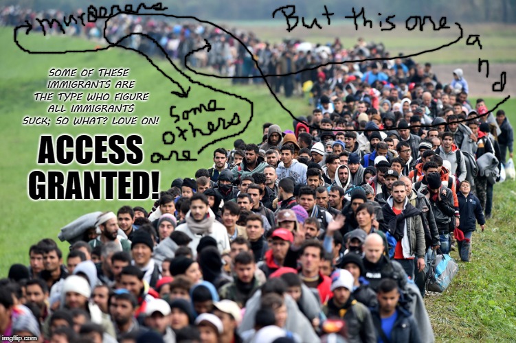 muslim-welfare-migrants | ACCESS GRANTED! SOME OF THESE IMMIGRANTS ARE THE TYPE WHO FIGURE ALL IMMIGRANTS SUCK; SO WHAT? LOVE ON! | image tagged in muslim-welfare-migrants | made w/ Imgflip meme maker