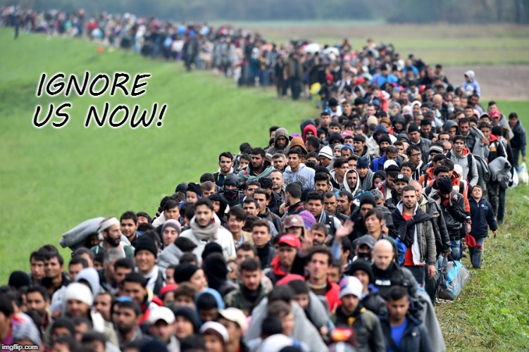 muslim-welfare-migrants | IGNORE US NOW! | image tagged in muslim-welfare-migrants | made w/ Imgflip meme maker