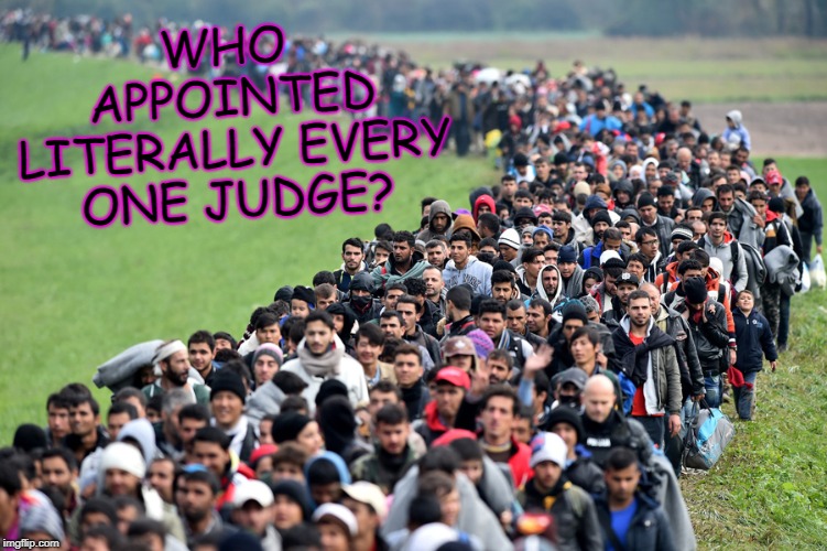 muslim-welfare-migrants | WHO APPOINTED LITERALLY EVERY ONE JUDGE? | image tagged in muslim-welfare-migrants | made w/ Imgflip meme maker