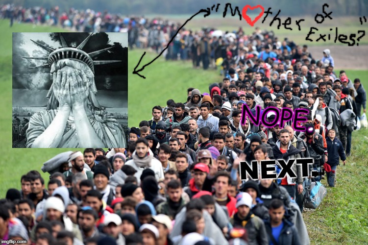 muslim-welfare-migrants | NEXT. NOPE. | image tagged in muslim-welfare-migrants | made w/ Imgflip meme maker