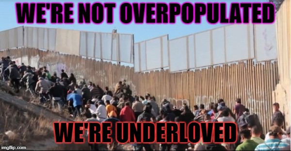 Illegal Immigrants | WE'RE NOT OVERPOPULATED; WE'RE UNDERLOVED | image tagged in illegal immigrants | made w/ Imgflip meme maker