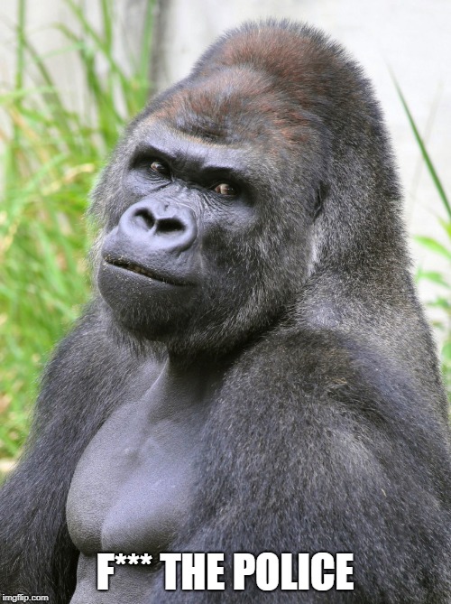Hot Gorilla  | F*** THE POLICE | image tagged in hot gorilla | made w/ Imgflip meme maker