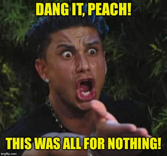 Jersey shore  | DANG IT, PEACH! THIS WAS ALL FOR NOTHING! | image tagged in jersey shore | made w/ Imgflip meme maker