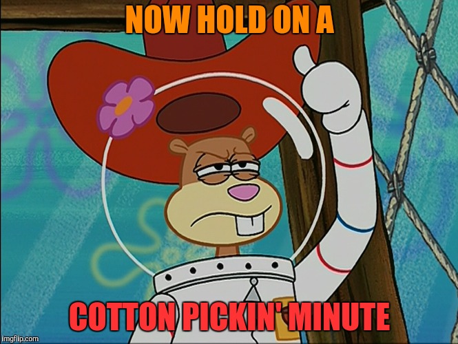 Sandy Cheeks | NOW HOLD ON A COTTON PICKIN' MINUTE | image tagged in sandy cheeks | made w/ Imgflip meme maker