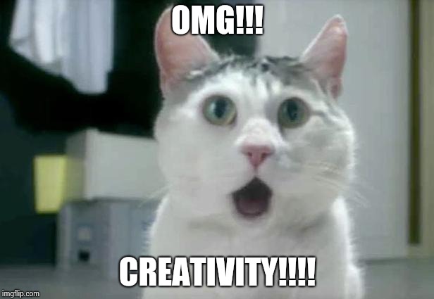 OMG Cat Meme | OMG!!! CREATIVITY!!!! | image tagged in memes,omg cat | made w/ Imgflip meme maker