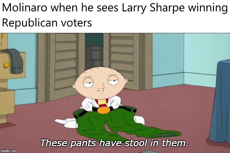 When Larry Sharpe is Winning Republicans in NY | These pants have stool in them. | image tagged in larry sharpe,republican,new york,libertarian | made w/ Imgflip meme maker